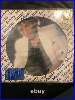 Michael Jackson Thriller Promo Picture Disc Brazil Mega Rare No smile